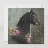 Black Beauty Friesian Horse - Carte de voeux (Devant)