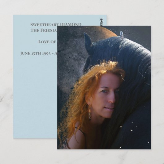 Black Beauty Friesian Horse - Carte postale (Devant / Derrière)