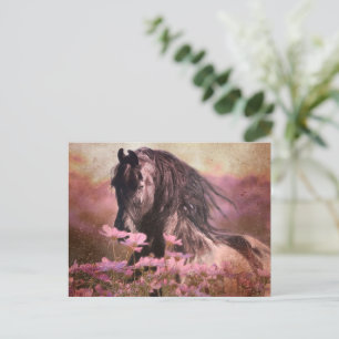 Black Beauty Friesian Horse - Carte postale