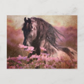 Black Beauty Friesian Horse - Carte postale (Devant)