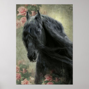 Black Beauty Friesian Horse - Poster