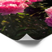 Black Beauty Friesian Horse - Poster (Coin)