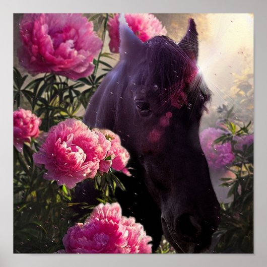 Black Beauty Friesian Horse - Poster (Devant)