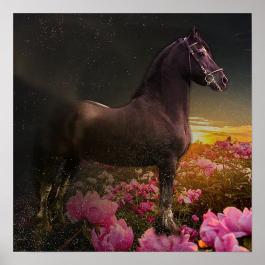 Black Beauty Friesian Horse - Poster (Devant)