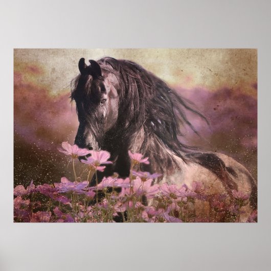 Black Beauty Friesian Horse - Poster (Voorkant)