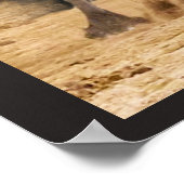 Black Beauty Friesian Horse - Poster (Coin)