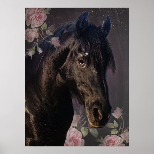 Black Beauty Friesian Horse - Poster (Devant)