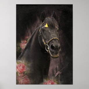 Black Beauty Friesian Horse - Poster