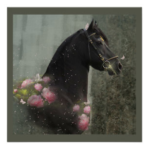Black Beauty Friesian Horse - Poster Perfect Poster