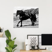 Black Beauty Horse Poster (Thuiskantoor)