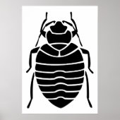 Black Bedbug Insect Poster (Voorkant)