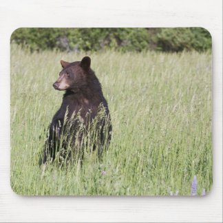 Black Beer Mousepad Muismat