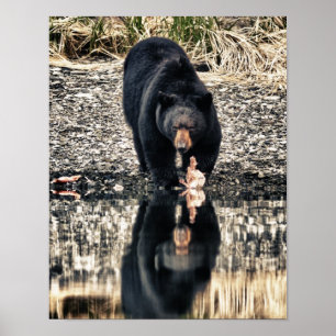Black Beer Reflections Poster