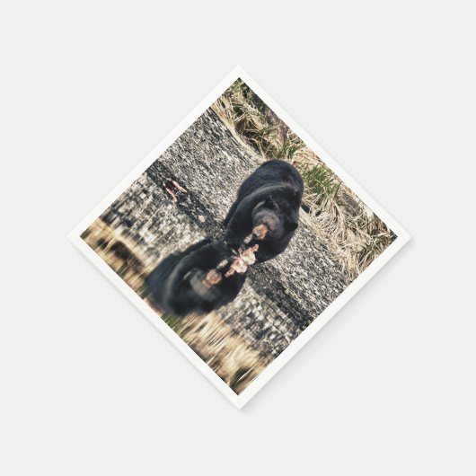 Black Beer Reflections Servetten (Hoek)