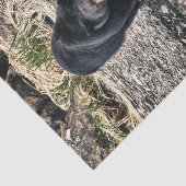 Black Beer Reflections Tissuepapier (Detail)