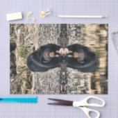 Black Beer Reflections Tissuepapier (Craft)