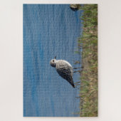 Black Bellied Plover Legpuzzel (Verticaal)