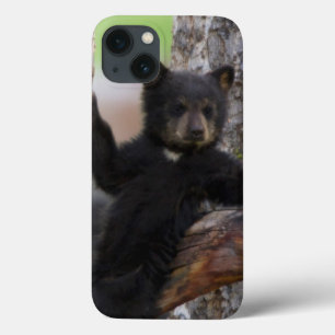 Black Beren Cub Lounging iPhone 13 Hoesje