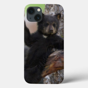 Black Beren Cub Lounging iPhone 13 Hoesje