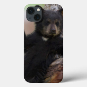 Black Beren Cub Lounging iPhone 13 Hoesje