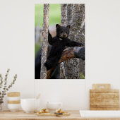 Black Beren Cub Lounging Poster (Keuken)
