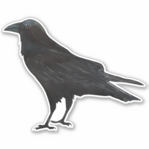 Black Bird Crow Sticker