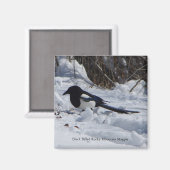 Black Bled Rocky Mountain Magpie magnet Magneet (Voorkant / Achterkant)