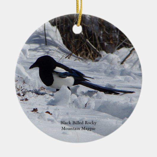 Black Bled Rocky Mountain Magpie-versiering Keramisch Ornament (Voorkant)