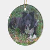 Black Border Collie Cute Dog Ornament (Links)