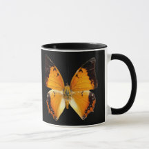 Black-Bordered Charaxes Butterfly Coffee Mok
