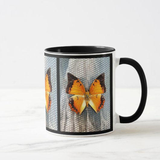 Black-Bordered Charaxes Butterfly Coffee Mok (Rechts)