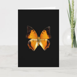 Black-Bordered Charaxes Butterfly Wenskaart Kaart