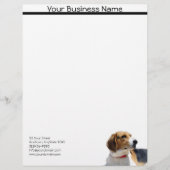 Black Brown and White Beagle Dog Letterhead Briefhoofd Ontwerp (Voorkant)