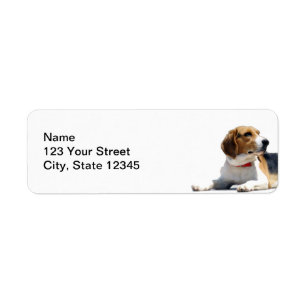 Black Brown and White Beagle Dog Return Address Etiket