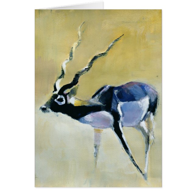Black Buck Velavadar 1997 (Voorkant)