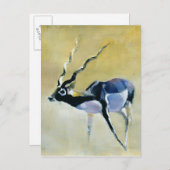 Black Buck Velavadar 1997 Briefkaart (Voorkant / Achterkant)