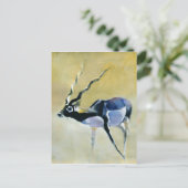 Black Buck Velavadar 1997 Briefkaart (Staand voorkant)