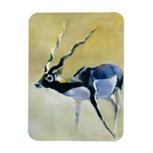 Black Buck Velavadar 1997 Magneet