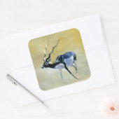 Black Buck Velavadar 1997 Vierkante Sticker (Envelop)