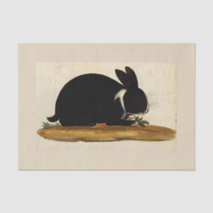 BLACK BUNNY RABBIT - Aangepast 10 lb-weefselpapier Tissuepapier