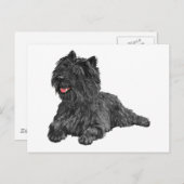 Black Cairn Terrier Briefkaart (Voorkant / Achterkant)
