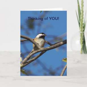 Black-capped Chickadee - Denken aan jou Kaart