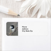 Black Capped Chickadee Foto Etiket (Insitu)