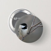 Black Capped Chickadee Foto Ronde Button 5,7 Cm (Voorkant /achterkant)