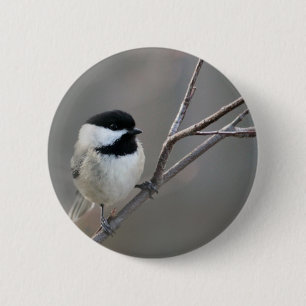 Black Capped Chickadee Photo Ronde Button 5,7 Cm