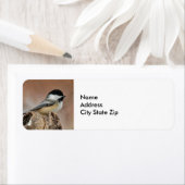 Black Capped Chickadee Sneeuwfoto Etiket (Insitu)