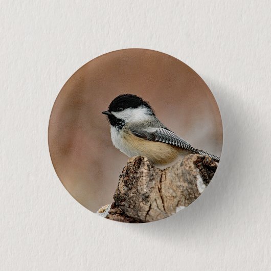 Black Capped Chickadee Sneeuwfoto Ronde Button 3,2 Cm (Voorkant)