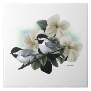 Black Capped Chickadee Tiles Tegeltje