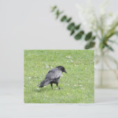 Black Carrion Crow Briefkaart (Staand voorkant)