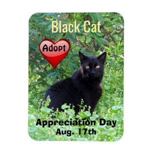 Black Cat Adoption Appreciation Day Magnet Magneet